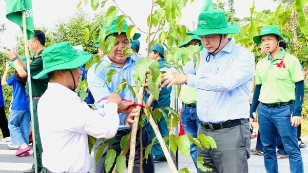 Cần Thơ đặt mục tiêu trồng hơn 1,4 triệu cây xanh