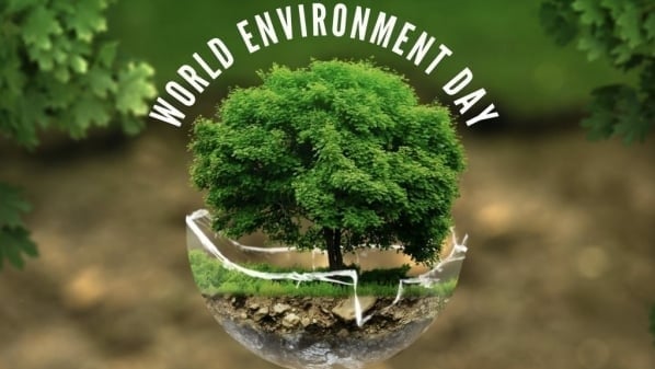 Bộ Nông nghiệp và Môi trường kêu gọi hưởng ứng Ngày Môi trường Thế giới 2025