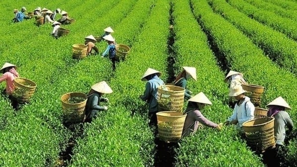 Đề xuất giảm phí, lệ phí hỗ trợ sản xuất, kinh doanh