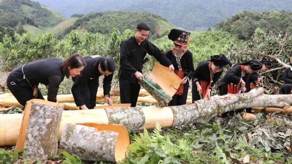 Văn Yên chú trọng phát triển du lịch xanh