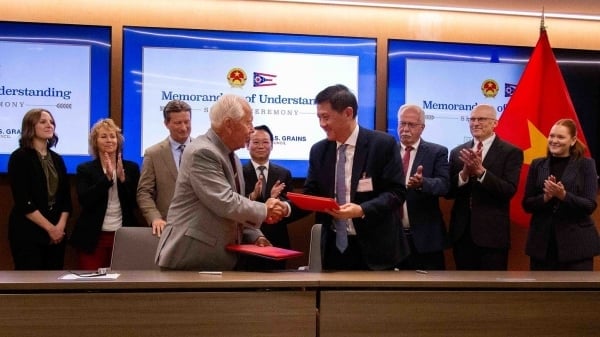 Truyền thông Mỹ: Thỏa thuận thương mại với Việt Nam ‘mở đường’ cho nông dân Hoa Kỳ