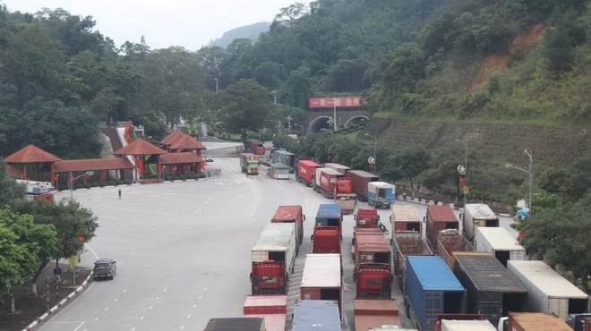 Thiết lập cơ chế thông quan khẩn cấp đối với hàng nông sản trọng điểm