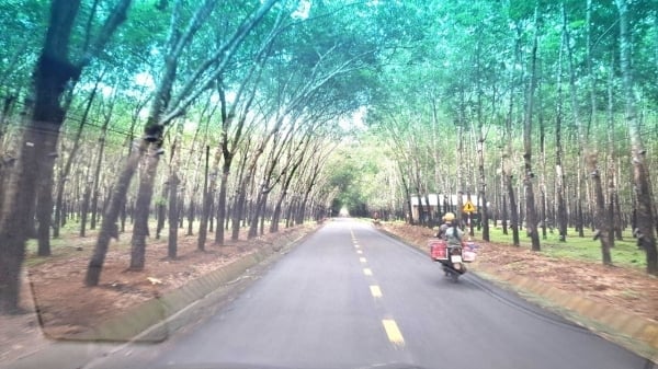 Một ngày với làng Triêl xa xôi