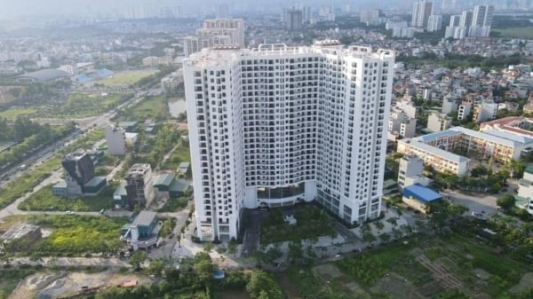 Ai tiếp tay phá nát quy hoạch Khu đấu giá Tứ Hiệp?