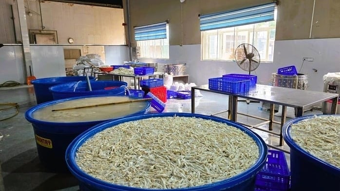 Phát hiện 13 tấn chân gà ngâm hóa chất tẩy trắng