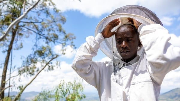FAO hiện đại hóa nghề nuôi ong tại Rwanda và Việt Nam qua sáng kiến OCOP