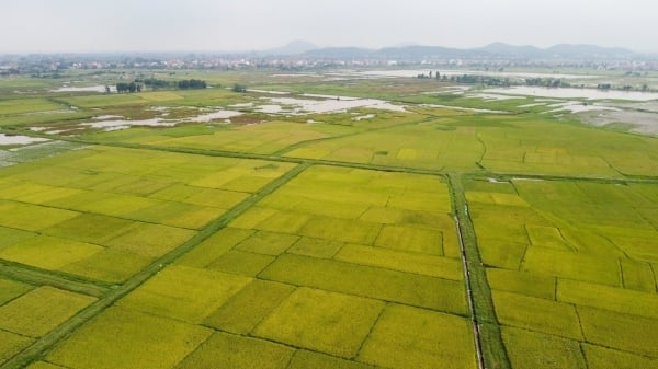 Nam Sudan, Nepal tìm hiểu kinh nghiệm phát triển nông thôn bền vững của Việt Nam