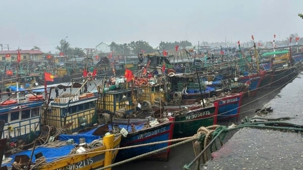 Bão WIPHA dự báo giật cấp 14, đang tiến vào vịnh Bắc Bộ