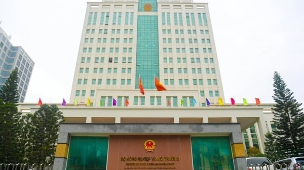 3 bước xử lý tranh chấp đất đai của Bộ trưởng Bộ Nông nghiệp và Môi trường