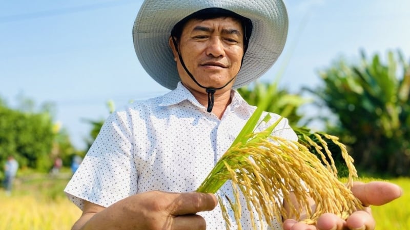 Xây dựng chiến lược trồng trọt giảm phát thải quy mô quốc gia
