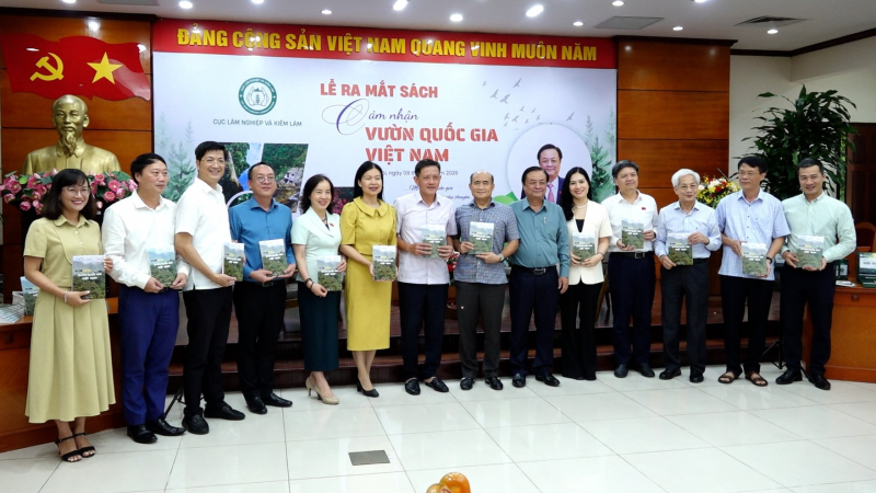 Lắng nghe những lời thì thầm của rừng