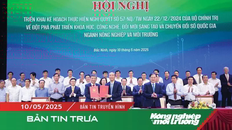 Lấy khoa học công nghệ, chuyển đổi số làm nền tảng phát triển