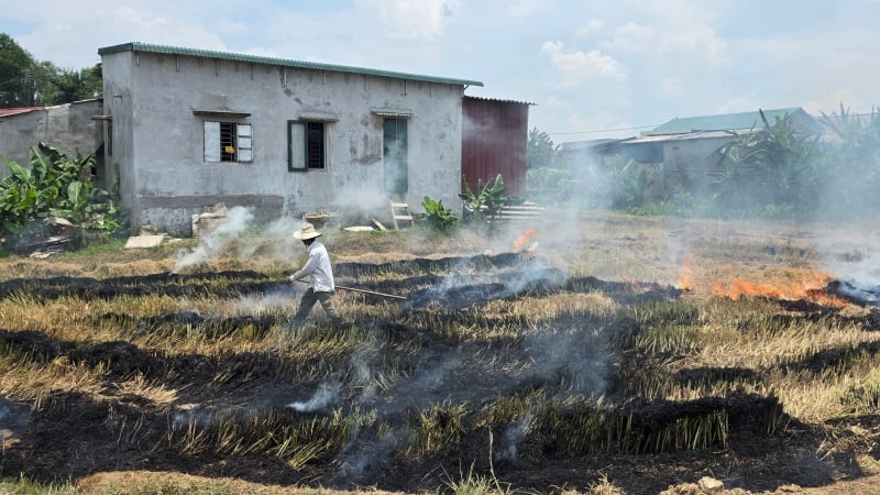 Nông dân đốt rơm rạ, khói ‘bao vây’ làng quê