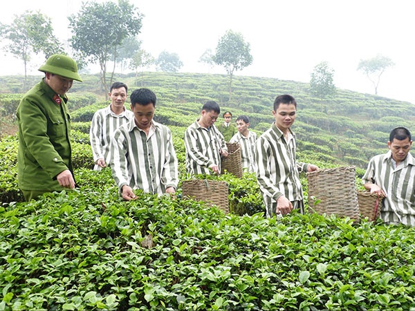 09-07-40_phm_nhn_trong_che.jpg
