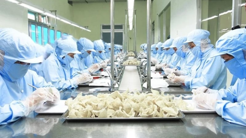 Phân cấp giám sát dịch bệnh tổ yến: Bước then chốt thúc đẩy xuất khẩu