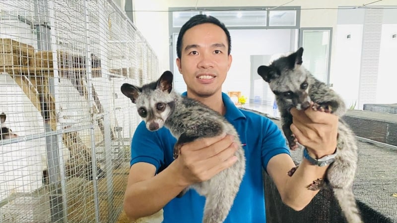Thu nhập tiền tỷ từ nuôi dúi, don, chồn theo chuỗi khép kín