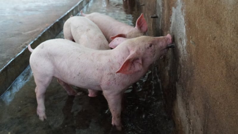 [Bài 2] Áp dụng công nghệ, giảm rủi ro và tăng hiệu quả