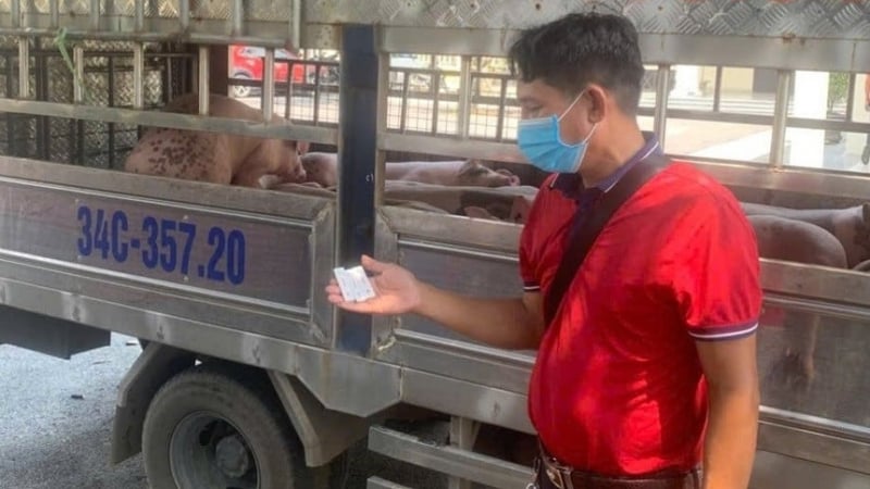 Phú Thọ lập đoàn kiểm tra công tác phòng, chống dịch bệnh động vật