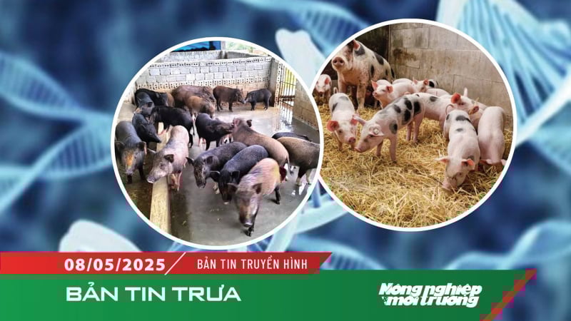 Thúc đẩy bảo tồn nguồn gen phục vụ phát triển nông nghiệp bền vững