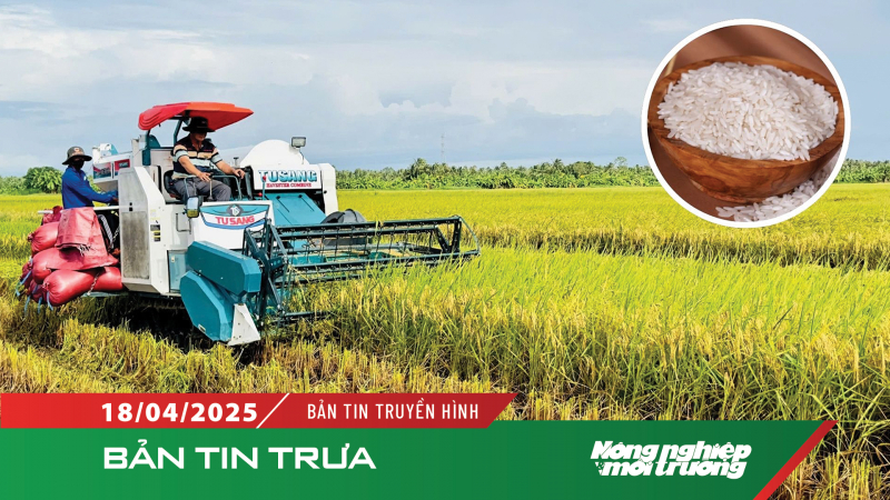 Gạo Việt Nam dẫn đầu về giá trên toàn cầu