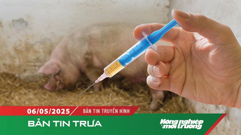 Xuất cấp hơn 2,24 triệu liều vacxin lở mồm long móng
