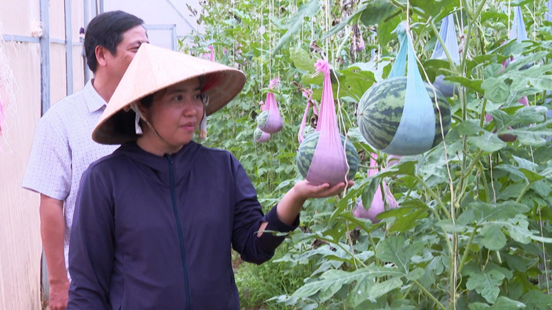 Trang trại hữu cơ 2,8ha đạt chuẩn Mỹ, EU trên đất Trà Vinh