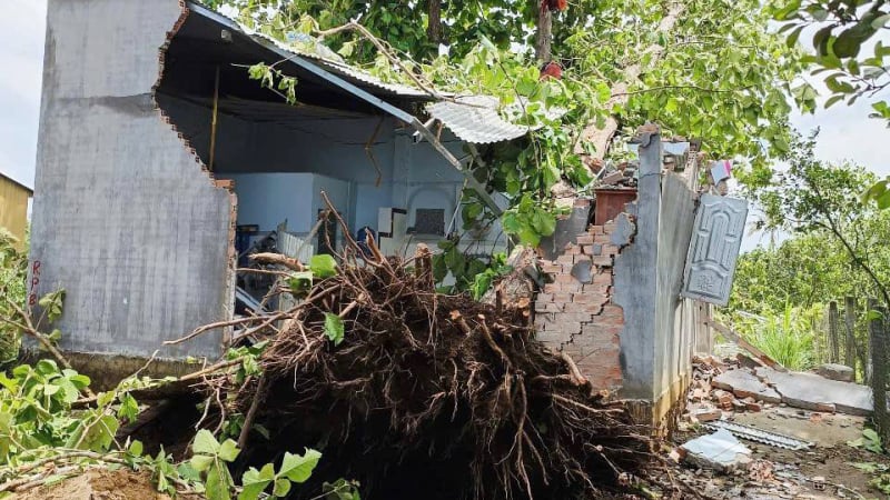 Trận giông lốc kéo sập nhà, quật ngã cây xanh và hoa màu