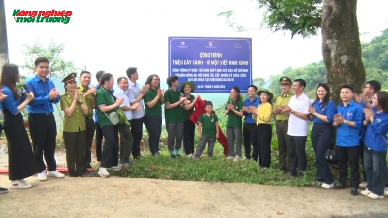 'Triệu cây xanh - Vì một Việt Nam xanh' tại Vườn quốc gia Ba Vì