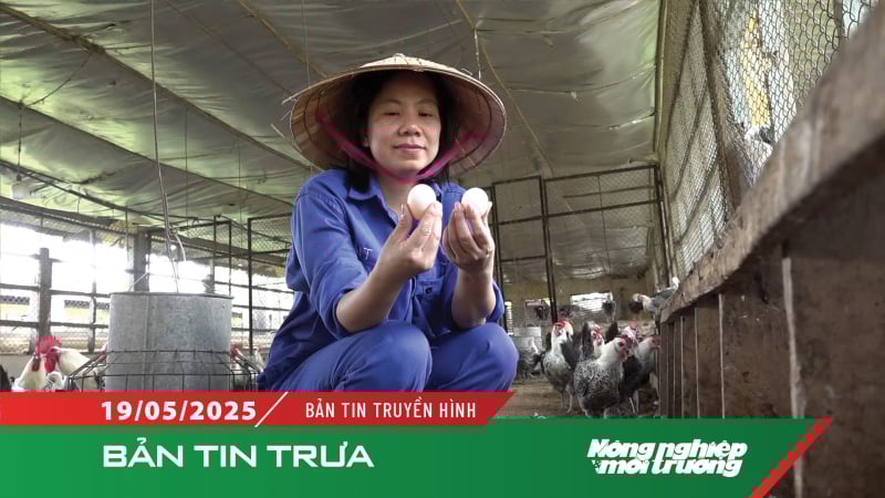 Đề nghị xử lý nghiêm những đối tượng tung tin 'trứng gà giả'