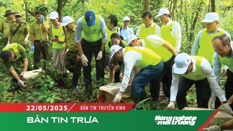 Bộ NN-MT tổ chức kỷ niệm Ngày Quốc tế Đa dạng sinh học 2025
