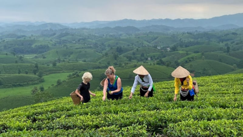 Đầu tư cho du lịch nông nghiệp, khai phá sức hút làng quê