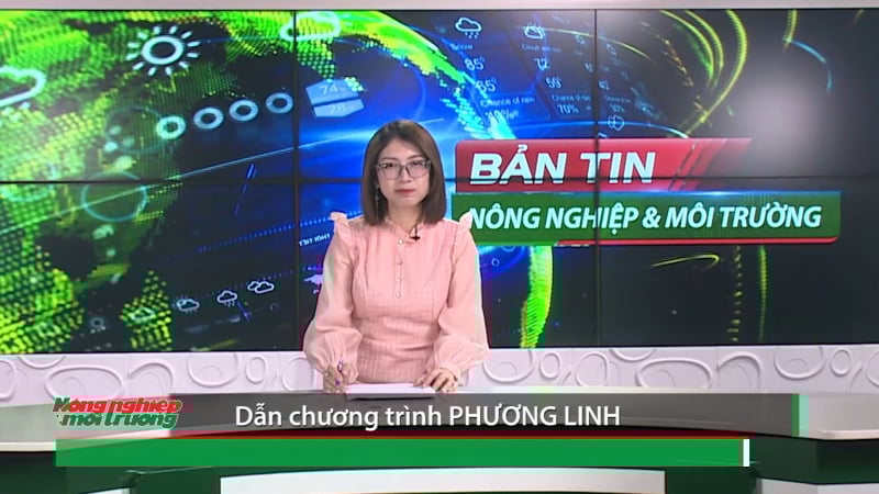Bản tin truyền hình NN&MT số 22/2025 (số 409)