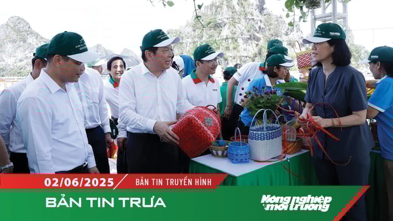 Chung tay giảm thiểu rác thải nhựa - Lan tỏa lối sống xanh