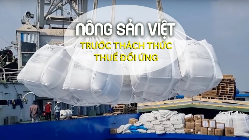 Xuất khẩu gạo tận dụng khoảng trống ở thị trường Hoa Kỳ