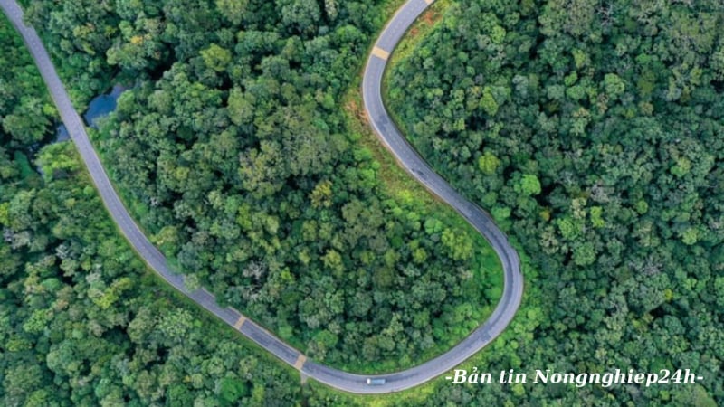 Đà bật mạnh cho Nông nghiệp và Môi trường từ những con số đầu năm
