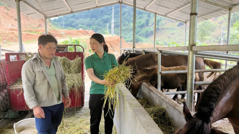 Ngành nông nghiệp Lào Cai đặt mục tiêu tăng trưởng cao để... đi nhanh