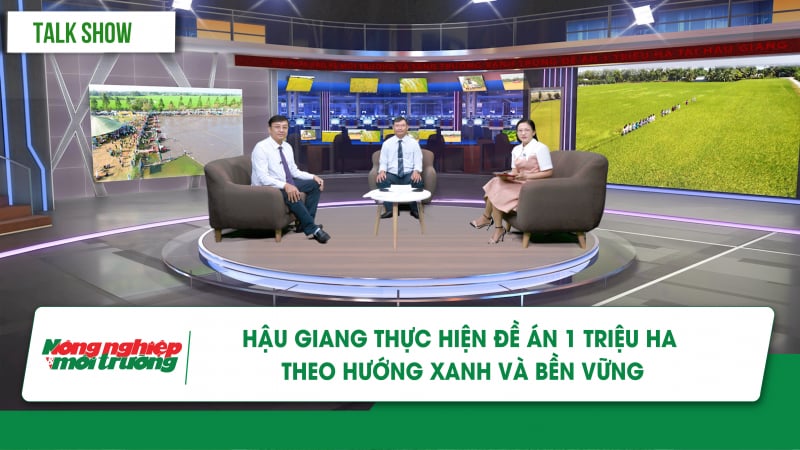 Hậu Giang thực hiện Đề án 1 triệu ha theo hướng xanh và bền vững