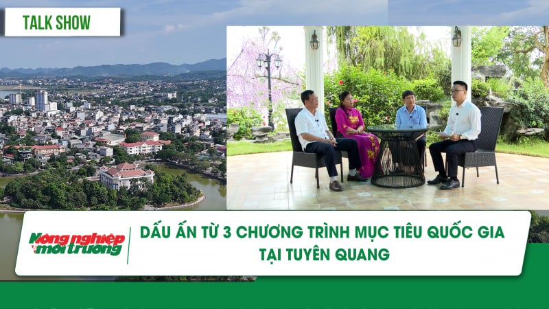 Dấu ấn từ 3 chương trình mục tiêu quốc gia tại Tuyên Quang
