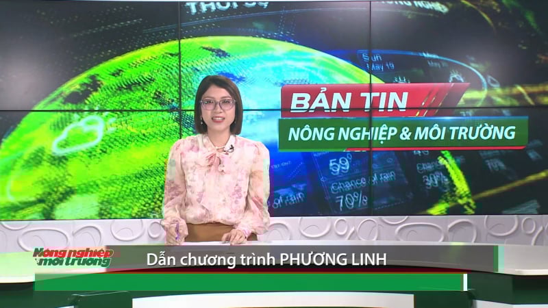 Bản tin Truyền hình Nông nghiệp và Môi trường số 25/2025 (số 412)