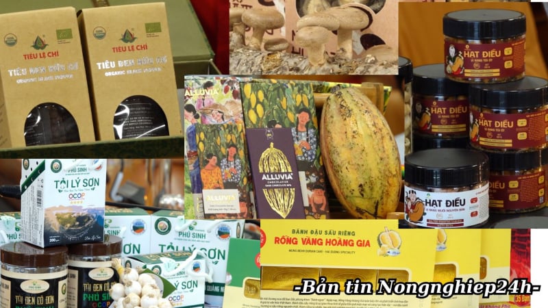 Thêm 47 sản phẩm OCOP cấp Quốc gia – Thêm động lực phát triển nông thôn
