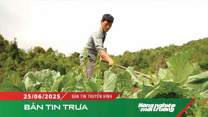 Rau trái vụ hướng đi thoát nghèo của người dân Y Tý