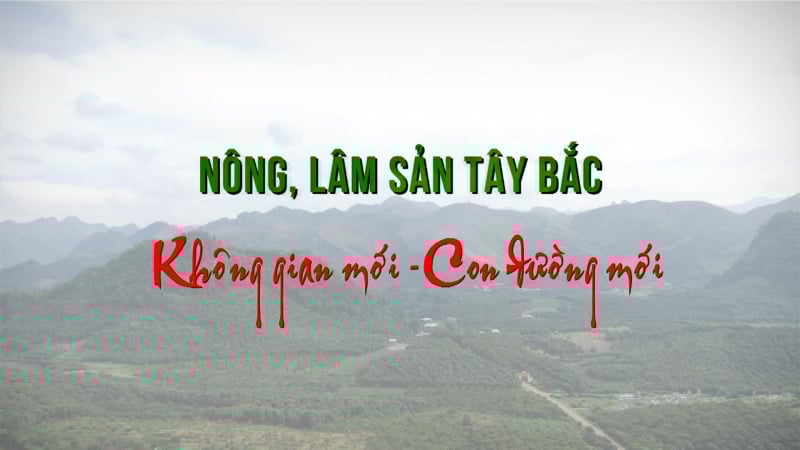 Nông sản Tây Bắc: Không gian mới - Con đường mới
