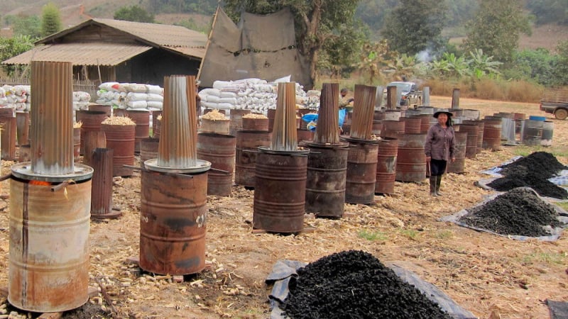 Than sinh học – nguồn tín chỉ carbon chất lượng cao chờ khai phá
