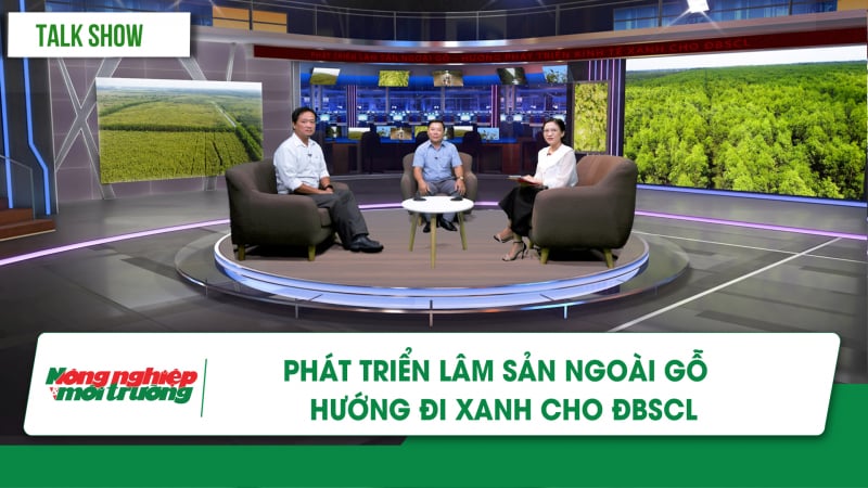 Phát triển lâm sản ngoài gỗ – hướng đi xanh cho ĐBSCL