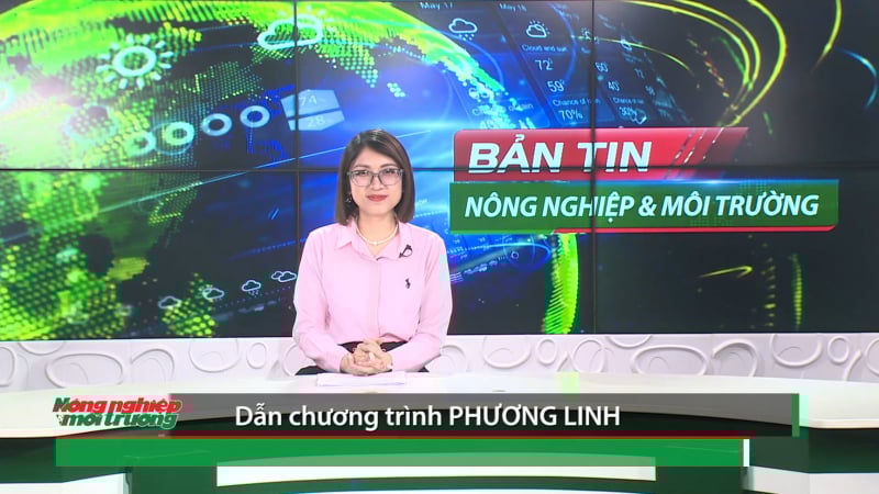 Bản tin truyền hình Nông nghiệp và Môi trường số 28/2025