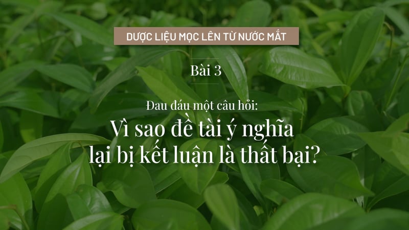 Vì sao đề tài ý nghĩa lại bị kết luận là thất bại?