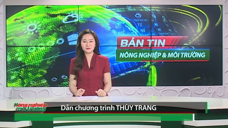 Bản tin Truyền hình Nông nghiệp và Môi trường số 30/2025 (số 417)