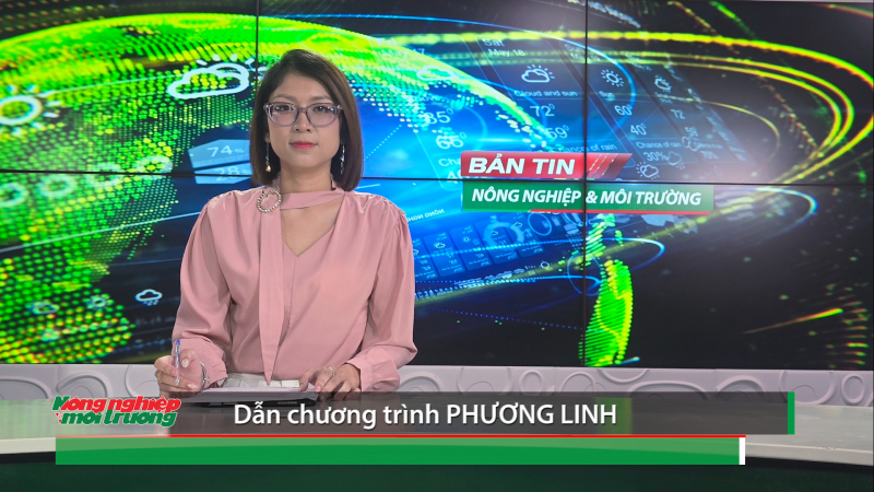 Bản tin Truyền hình Nông nghiệp và Môi trường số 31/2025 (số 418)