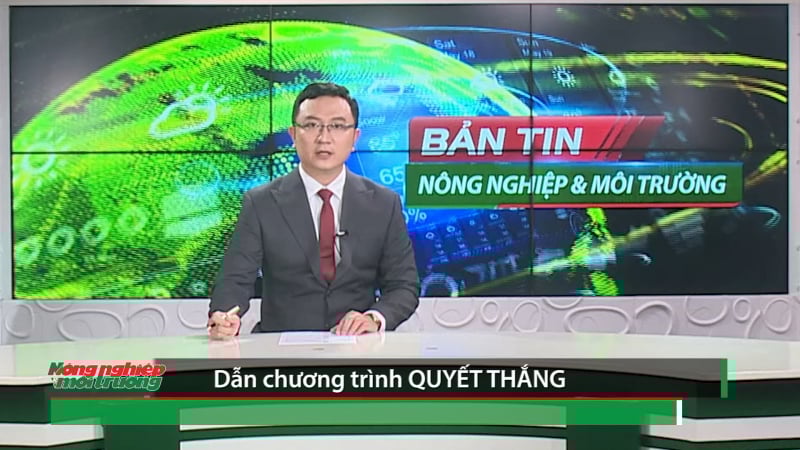 Bản tin Truyền hình Nông nghiệp và Môi trường số 32/2025 (số 419)