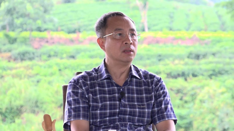 Hành trình làm chè hữu cơ của ông chủ thương hiệu trà Cozy